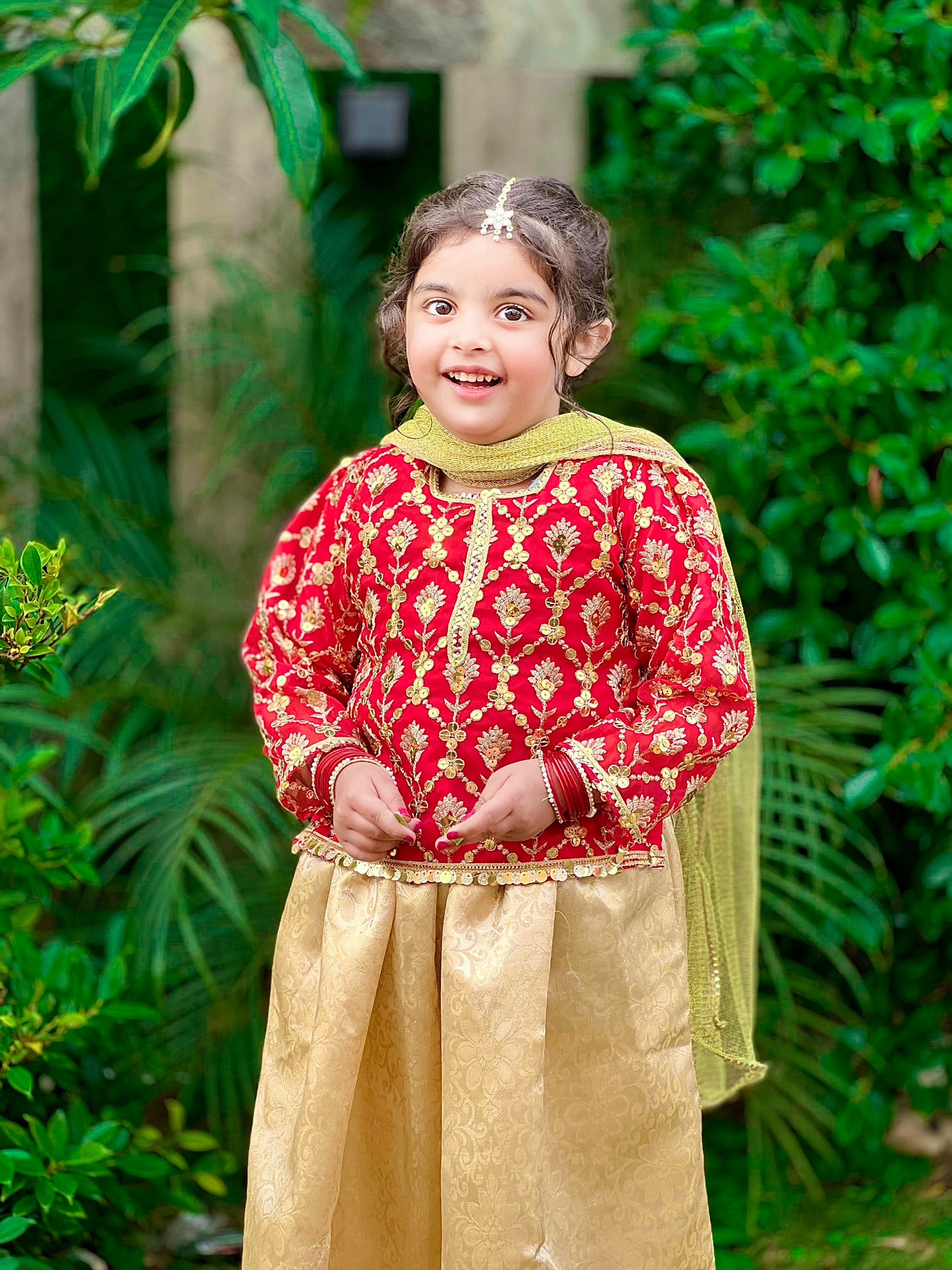 ❤️ Red Golden Fancy Organza Choli with Golden Jamawar Lehenga and Net Dupatta
