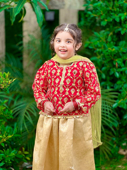 ❤️ Red Golden Fancy Organza Choli with Golden Jamawar Lehenga and Net Dupatta