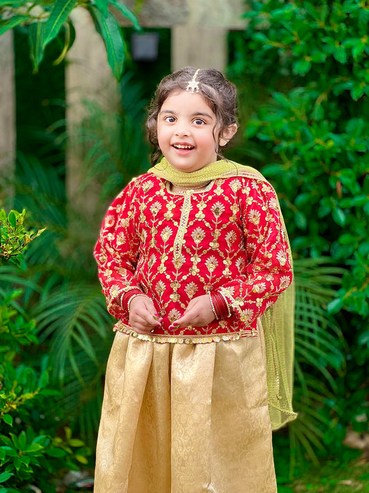 ❤️ Red Golden Fancy Organza Choli with Golden Jamawar Lehenga and Net Dupatta