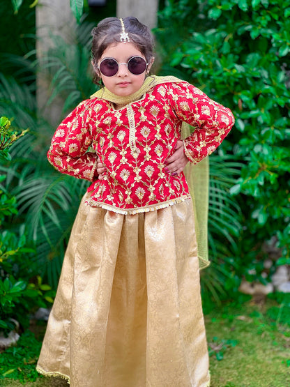 ❤️ Red Golden Fancy Organza Choli with Golden Jamawar Lehenga and Net Dupatta