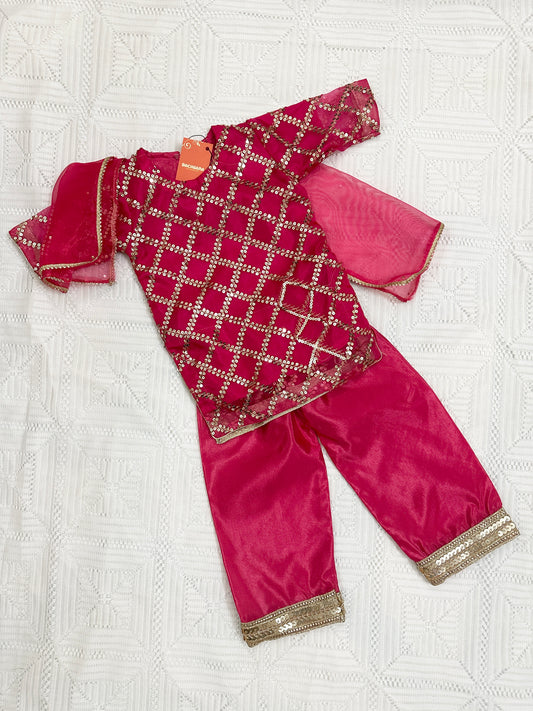 💖 Pink Fancy Shirt with Silk Trouser and Organza Dupatta